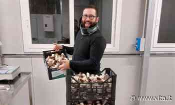 Semi di Vita, una serra nel carcere minorile di Bari - Vita