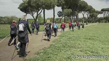 Bari, debutta il nordic walking: fine settimana con gare e passeggiate. "Uno sport che piace sempre più" - La Repubblica