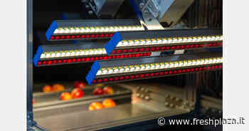 L'ultima generazione dei sistemi di selezione è in grado di rilevare difetti difficili da individuare con elevata precisione - Freshplaza.it