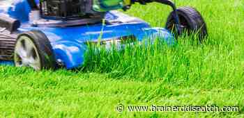 Ask the Master Gardener: Mowing a lawn too short could harm the grass - Brainerd Dispatch