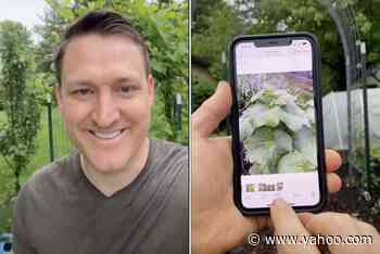 Gardener shares ‘mind-blowing’ hack for identifying plants with your iPhone: ‘It really does work’ - Yahoo! Voices