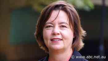 Resources Minister says there's 'not much more any government could or should do' on gas prices — while eyeing trigger