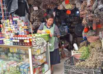Hierberos de Misantla, otras víctimas del estiaje - Imagen del Golfo