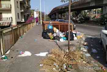 Catania, degrado lungo Viale Marco Polo. Comitato Vulcania: “Servono interventi di bonifica” - NewSicilia