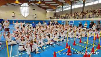 Leucate : Open kids de taekwondo : 200 enfants sur les tatamis - L'Indépendant