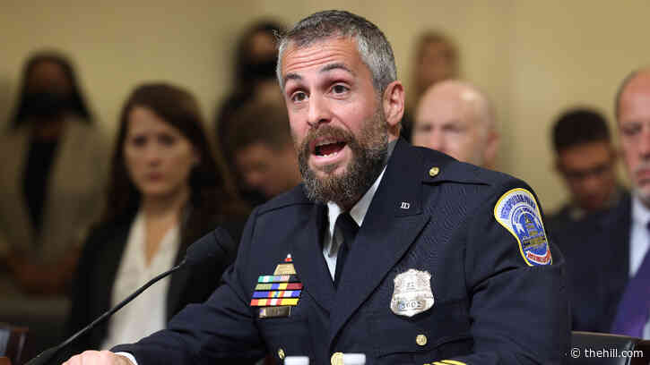 Former DC officer on Jan. 6 hearings: 'I don't believe that it's gonna move the needle'