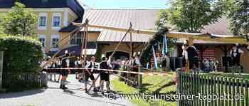 Traunstein: Neuer Maibaum beim Wochinger-Brauhaus aufgestellt - Traunsteiner Tagblatt