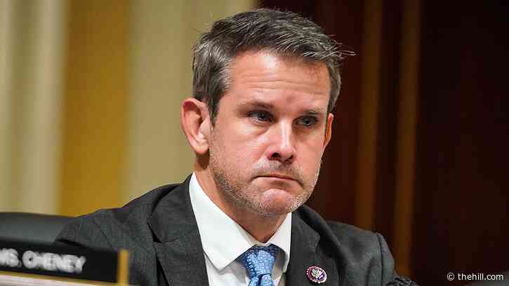Kinzinger says France's Macron 'humiliating himself' with caution toward Russia