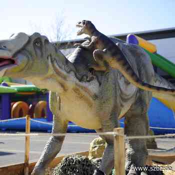 Sindelfingen: Die Dinos sind zurück bei Hofmeister - Sindelfinger Zeitung / Böblinger Zeitung