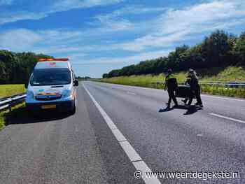 Politie en dierenambulance halen gewonde ree van A2 - Weertdegekste.nl