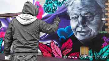 Eyesore or art? Dublin residents mull over mural - The Times