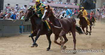 Palio di Siena, il Comune nomina deputati, ispettori e giudici: ecco chi sono - Corriere di Siena