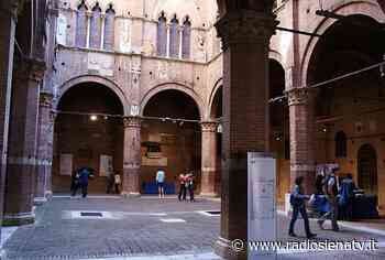 Siena: l'estate dei burattini arriva in città e nei quartieri - RadioSienaTv