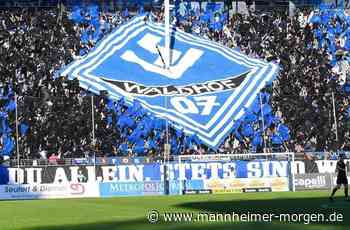 Stadionfrage in Mannheim: Waldhof-Fans zwischen Vereinsbrille und Augenmaß - Mannheim - Nachrichten und Informationen - Mannheimer Morgen