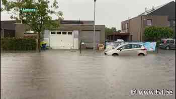 KMI kondigt code geel af in Limburg vanaf morgenvroeg - TV Limburg