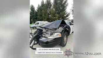 Sonoma County police chase enraged mother accused of driving drunk - KTVU FOX 2 San Francisco