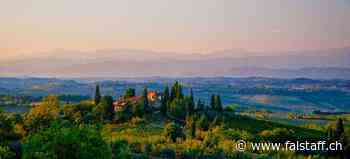 Drei italienische Weine, die Sie im Sommer probieren sollten - Falstaff