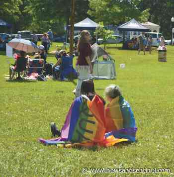 Color, music, acceptance beam at Pride in the Park - Parkersburg News