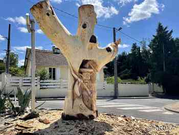À Triel-sur-Seine, les arbres malades sont transformés en sculptures - actu.fr
