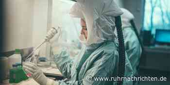 Affenpocken in NRW: Erster Fall im Kreis Coesfeld aufgetreten - Ruhr Nachrichten