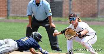 PIAA Baseball: Cumberland Valley, East Pennsboro, Trinity set for opening round Monday - The Sentinel
