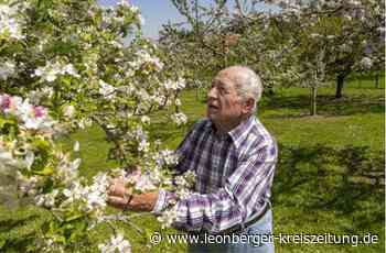 Johann Rudorfer aus Höfingen - Der Apfelsaftkönig - Leonberger Kreiszeitung