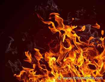 Fire breaks out in forest area, DC orders probe - The Tribune India