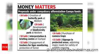 Forest dept proposes 2nd butterfly park at Mollem - Times of India