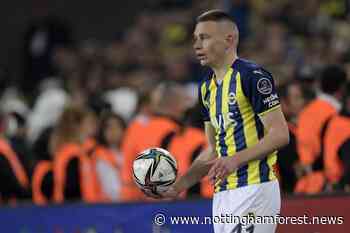 Report: Nottingham Forest want international defender Attila Szalai - Nottingham Forest News