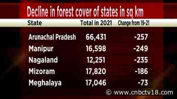 India's forest cover is improving, but here's the catch - CNBCTV18