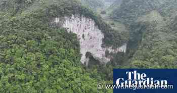 Ancient forest found at bottom of huge sinkhole in China - The Guardian