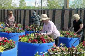 Wetaskiwin — a city in bloom - Sherwood Park News
