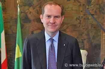 "Accelerare lo sblocco del grano fermo nei porti, troppo lunghe le alternative via terra" - Tuscia Web