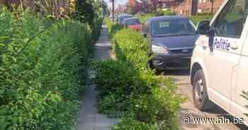 Bestuurster onder invloed ramt haag | Leuven | hln.be - Het Laatste Nieuws