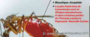 Paludisme: un vaccin qui promet