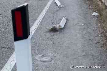 Articolo 97: "Il transito per pedoni e ciclisti verso le spiagge sulla 16 è pericolosissimo" - TraniViva