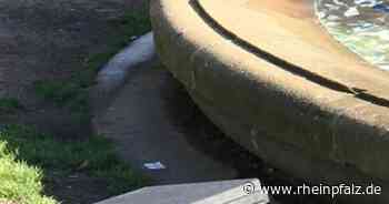 Herrenloser Koffer löst Polizeieinsatz aus - Kaiserslautern - DIE RHEINPFALZ - Rheinpfalz.de