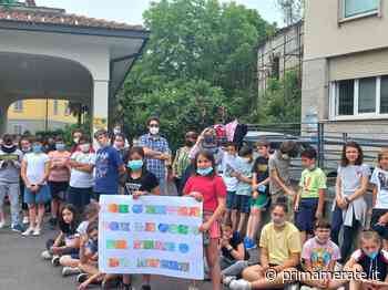 Albero di Falcone, ora anche a Casatenovo - Prima Merate