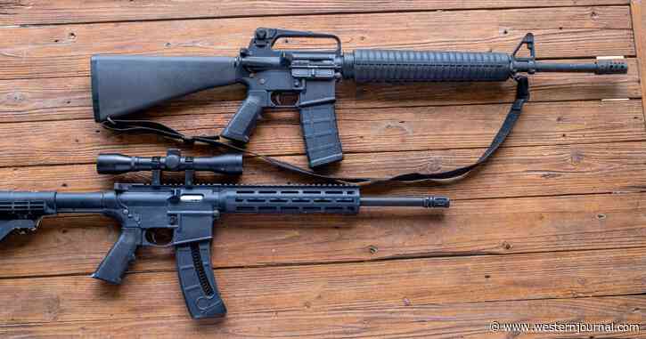 GOP Lawmaker's Career Instantly Destroyed After Pushing 'Assault Weapons Ban'