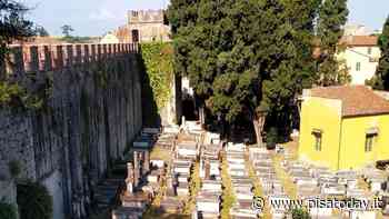 Visite guidate al cimitero ebraico - PisaToday