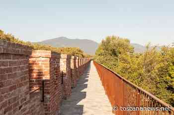 PISA - Giugno Pisano, visita guidata dal camminamento in quota all'orto botanico - Toscana News - Toscana News