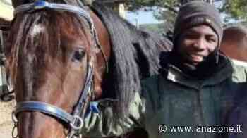 Pisa, morì per salvare una cavalla: nuove indagini - LA NAZIONE