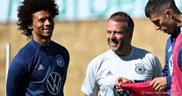 Das Rätsel Sané: Flick unterstützt den «sensiblen» Kicker