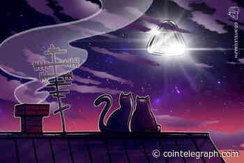 Purrfect match: The story of a young girl’s love of cats and NFTs