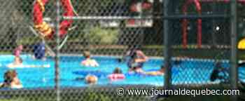 Des piscines publiques fermées cet été?