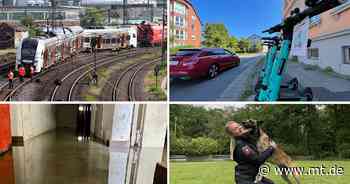 Bahnunfall in Minden, E-Roller, Fäkalien im Keller und ein Polizeihund: Das war die MT-Woche - Mindener Tageblatt