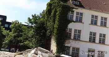 Naturschutz außer acht gelassen: Abrissarbeiten am Marienwall gestoppt - Mindener Tageblatt