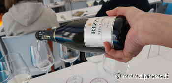 Le nuove annate delle bollicine di Alta Langa in anteprima a Moncalieri - ZipNews