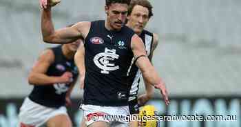 Blues' Tom Williamson takes leave from AFL - Gloucester Advocate
