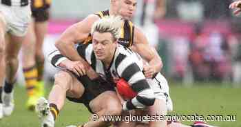 AFL umps admit Ginnivan free-kick errors - Gloucester Advocate